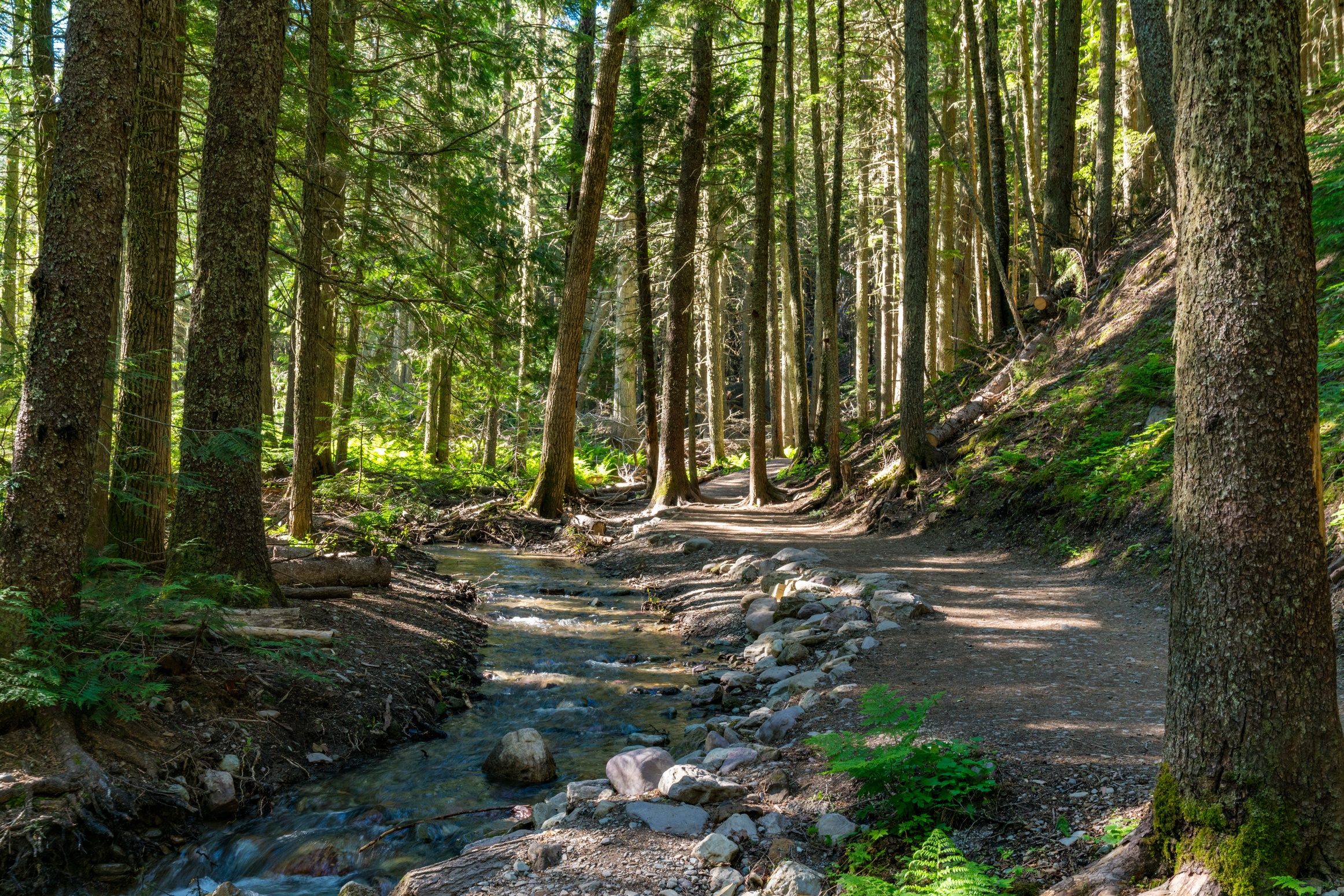 Glacier National Park Hiking Trail